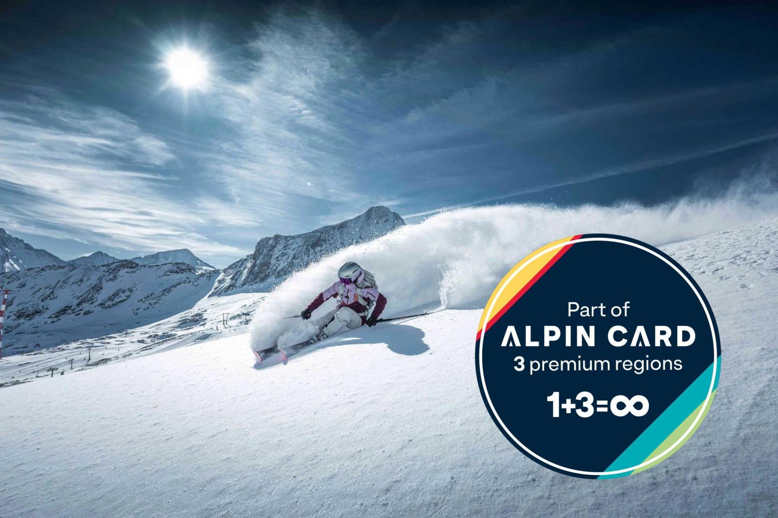 Ski ALPIN CARD skier